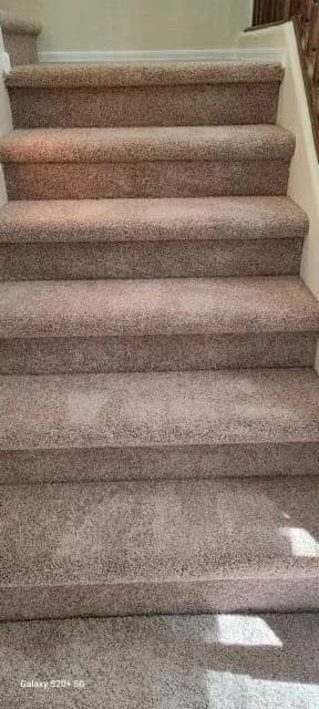 Carpet design 2