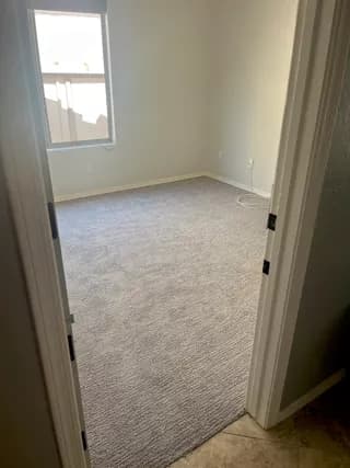 Carpet design 8