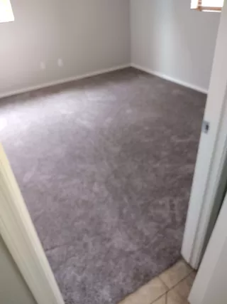 Carpet design 13