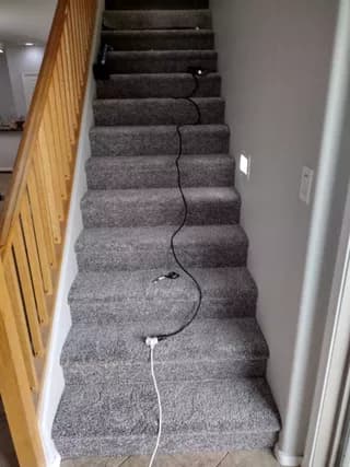 Carpet design 14