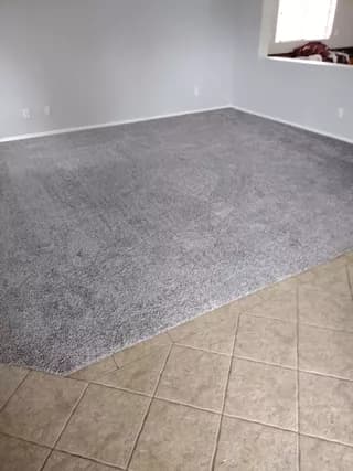 Carpet design 15