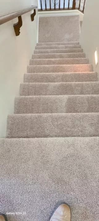 Carpet design 3