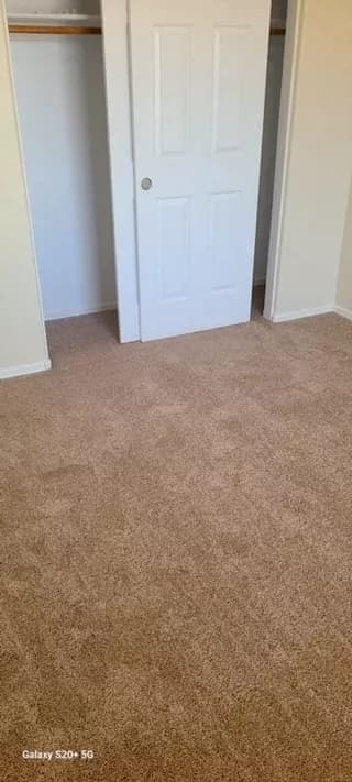 Carpet design 4