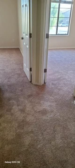 Carpet design 5