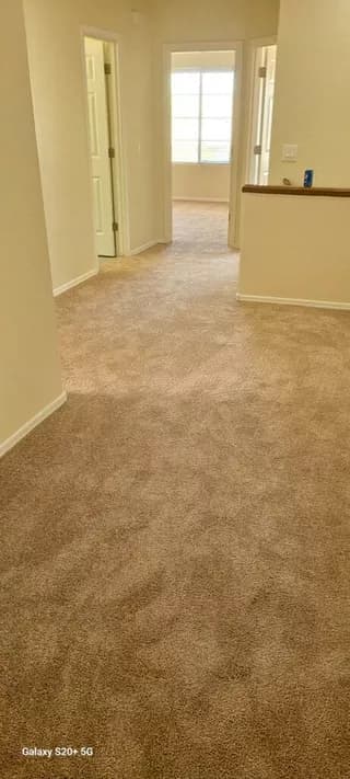 Carpet design 6